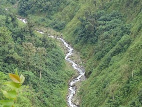 吴川野餐胜地推荐，寻找那片绝佳的野餐之地