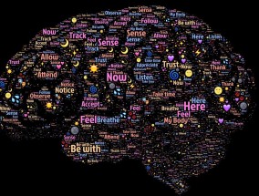 神经干细胞转染GFP，探索神经科学的新途径