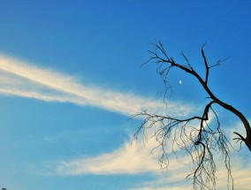 如何挽回已经心死的前女友