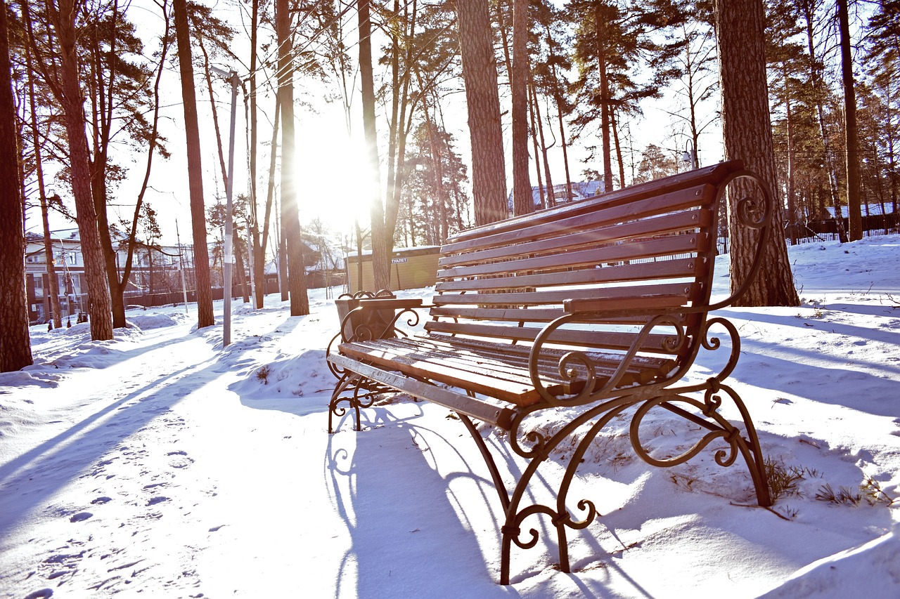 冰雪大世界盛大开园，美的空调横跨50℃打造东北夏威夷