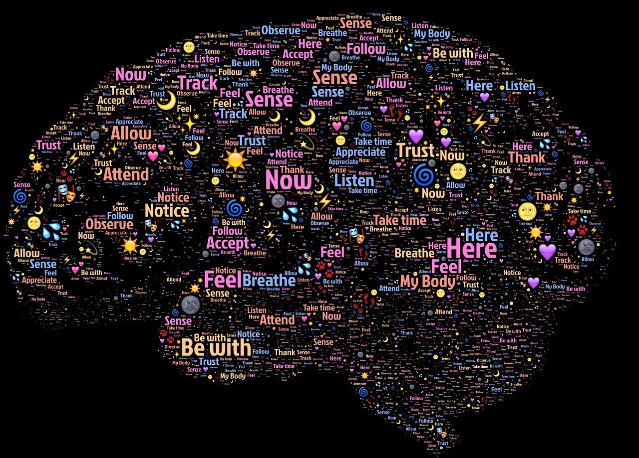 神经干细胞转染GFP，探索神经科学的新途径